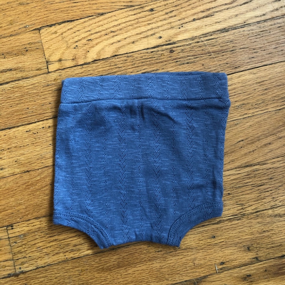Kate quinn bloomers